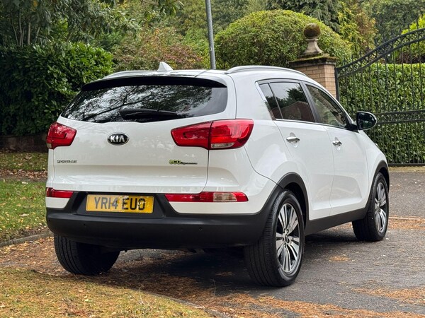 Used Kia Sportage 2014 for sale - 76214599: Photo 79