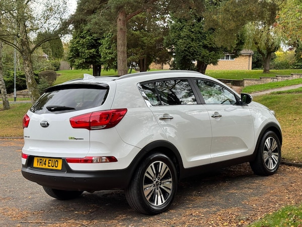 Used Kia Sportage 2014 for sale - 76214599: Photo 81