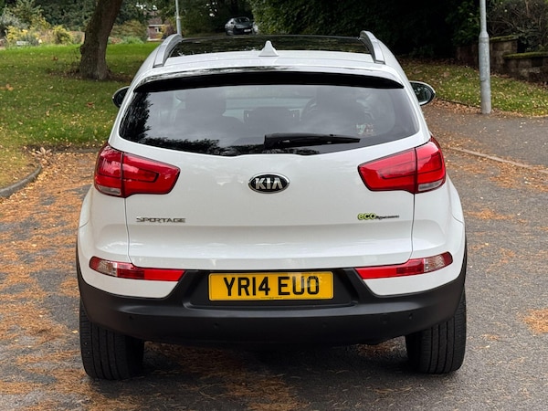 Used Kia Sportage 2014 for sale - 76214599: Photo 85