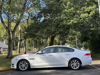 Used Jaguar XF 2019 for sale - 79712528: Photo