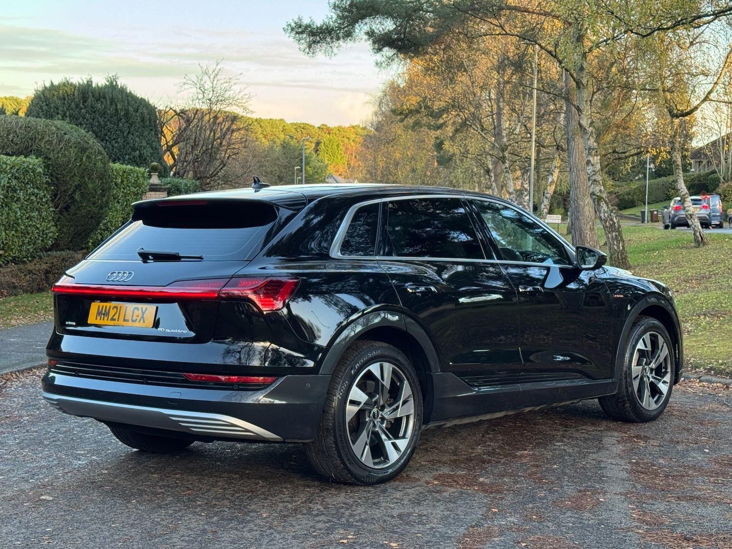 Used Audi e-tron for sale - 76727729: Photo 17