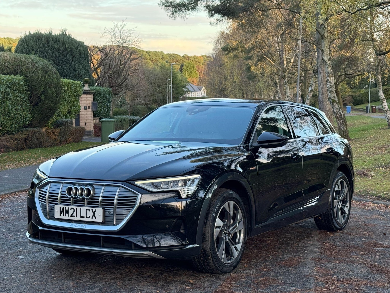 Used Audi e-tron for sale - 76727729: Photo 19