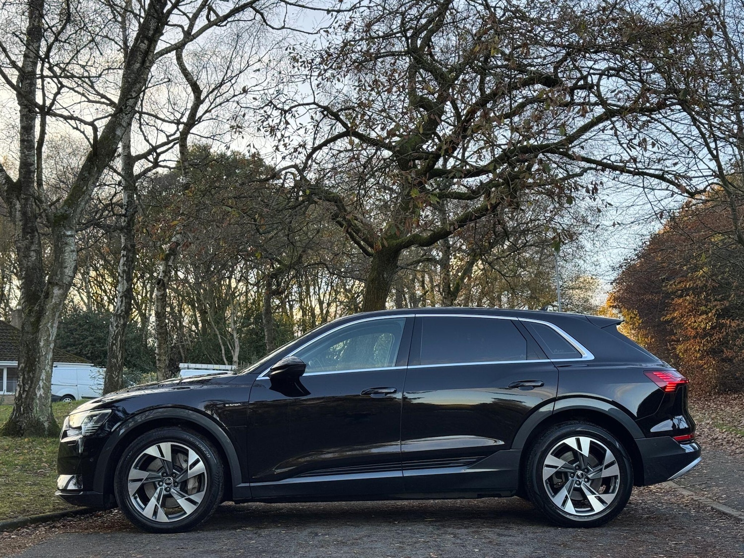 Used Audi e-tron for sale - 76727729: Photo 3