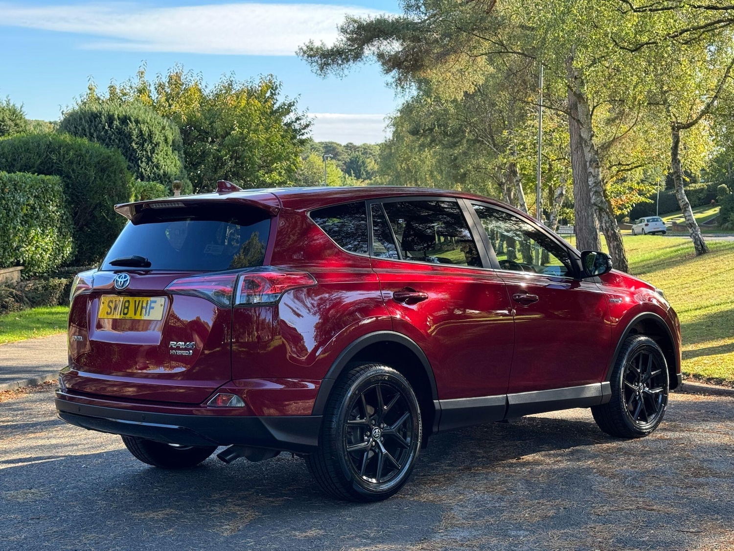 Used Toyota RAV4 2018 for sale - 76060934: Photo 15