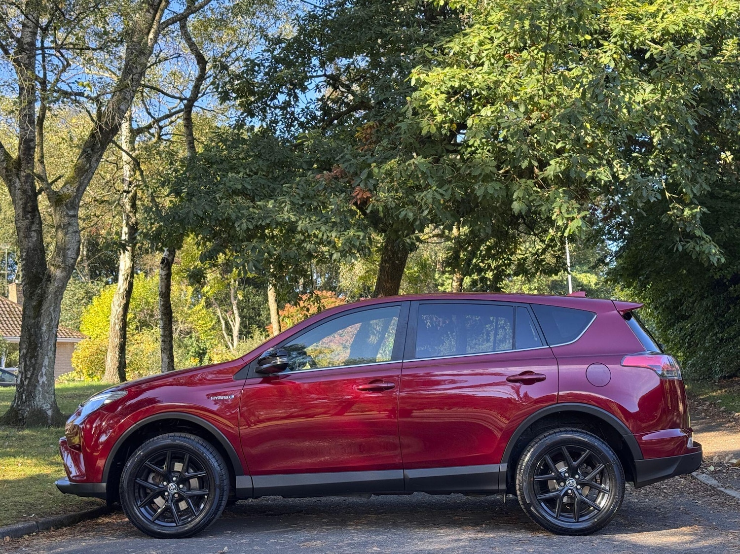 Used Toyota RAV4 2018 for sale - 76060934: Photo 3