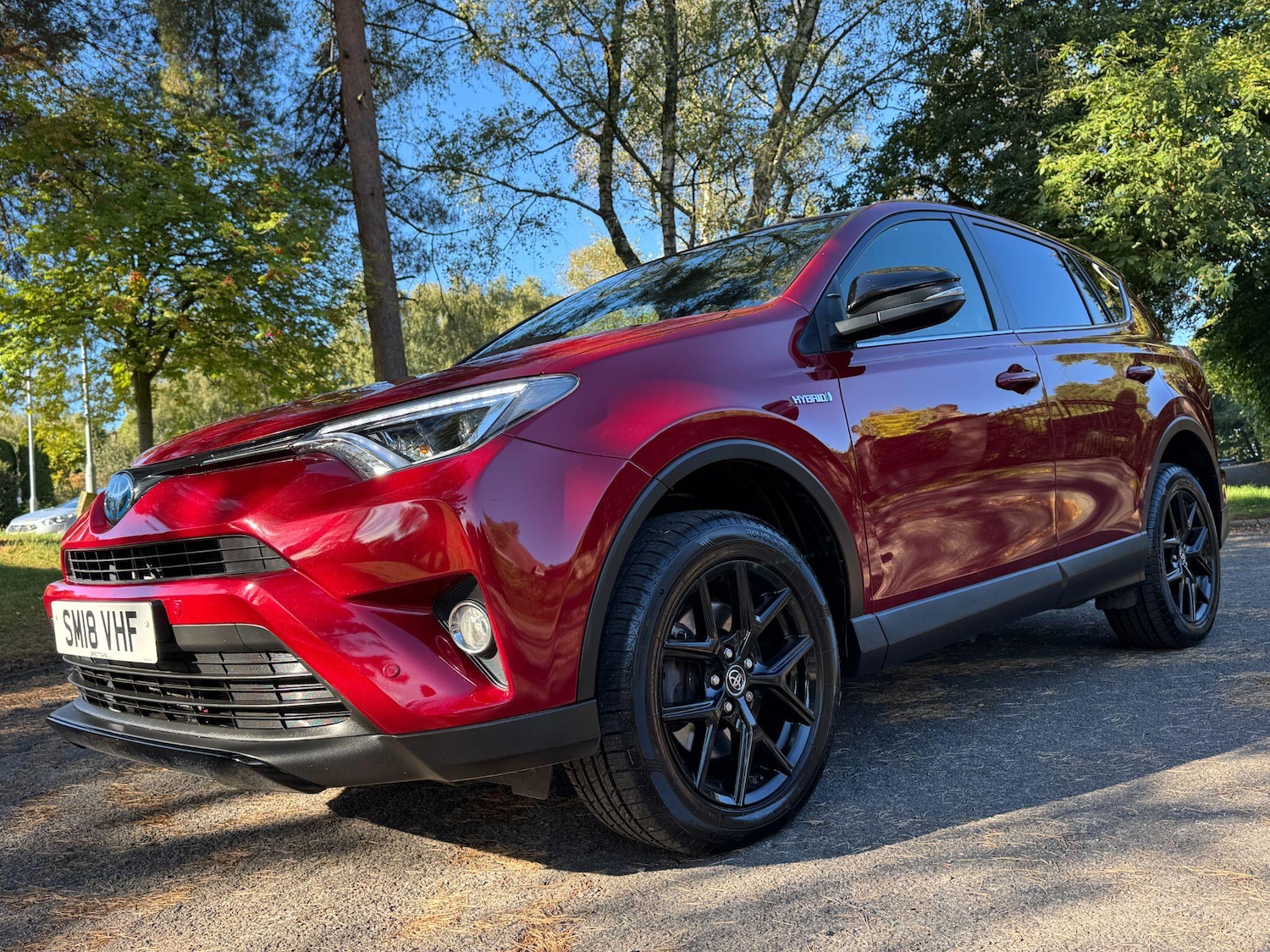 Used Toyota RAV4 2018 for sale - 76060934: Photo 31