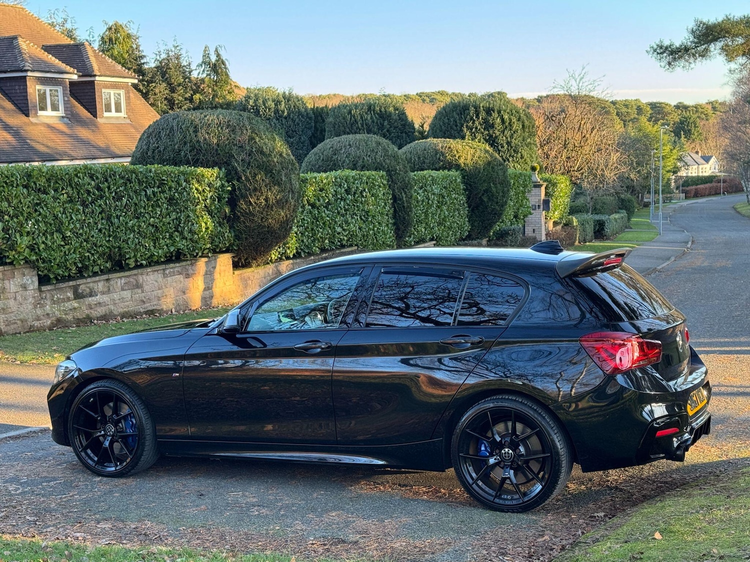 Used BMW 1 Series 2017 for sale - 77109887: Photo 71