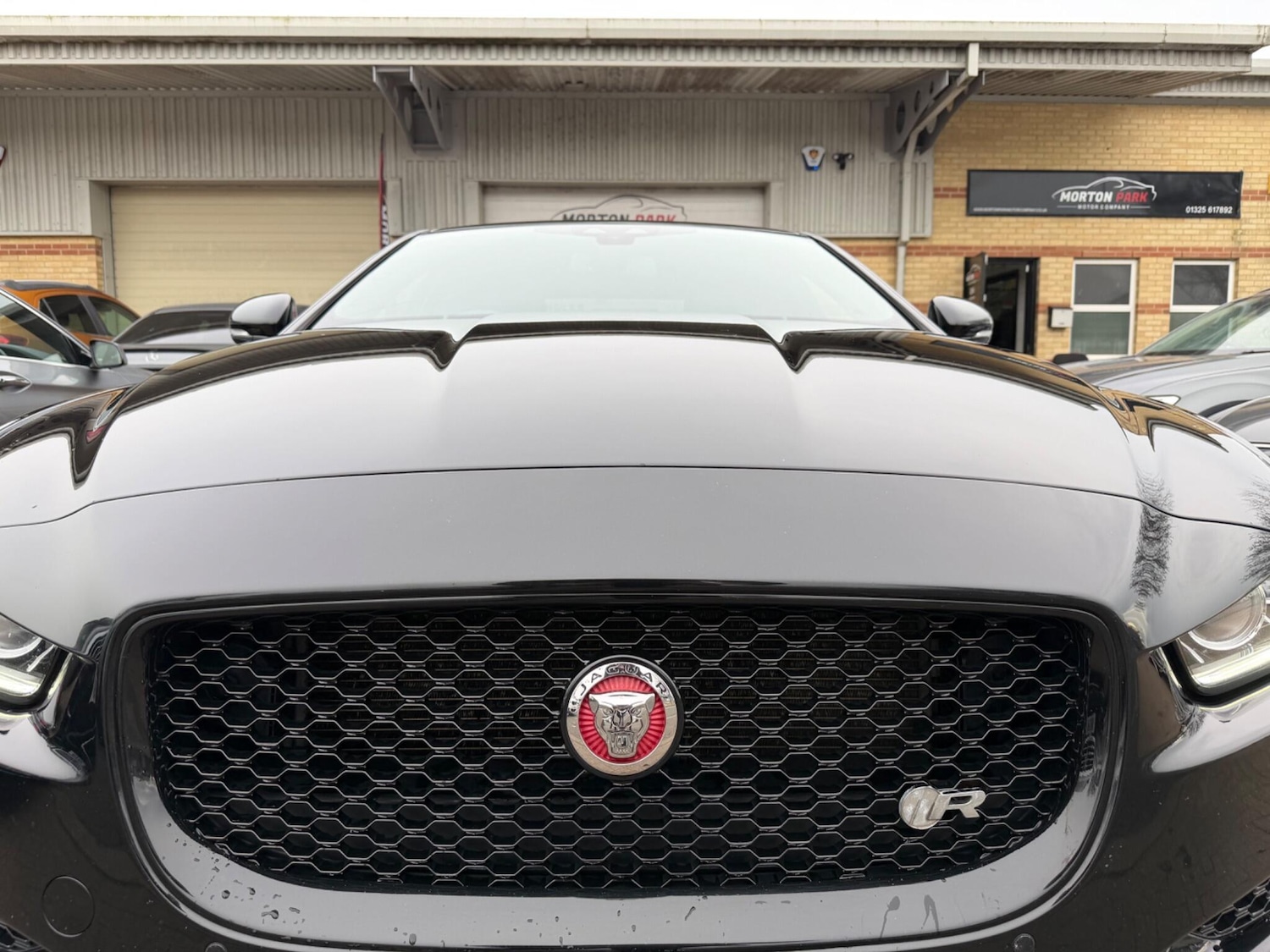 Used Jaguar XE for sale - 77982480: Photo 11