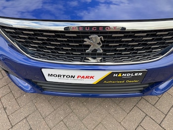 Used Peugeot 308 2019 for sale - 79401564: Photo