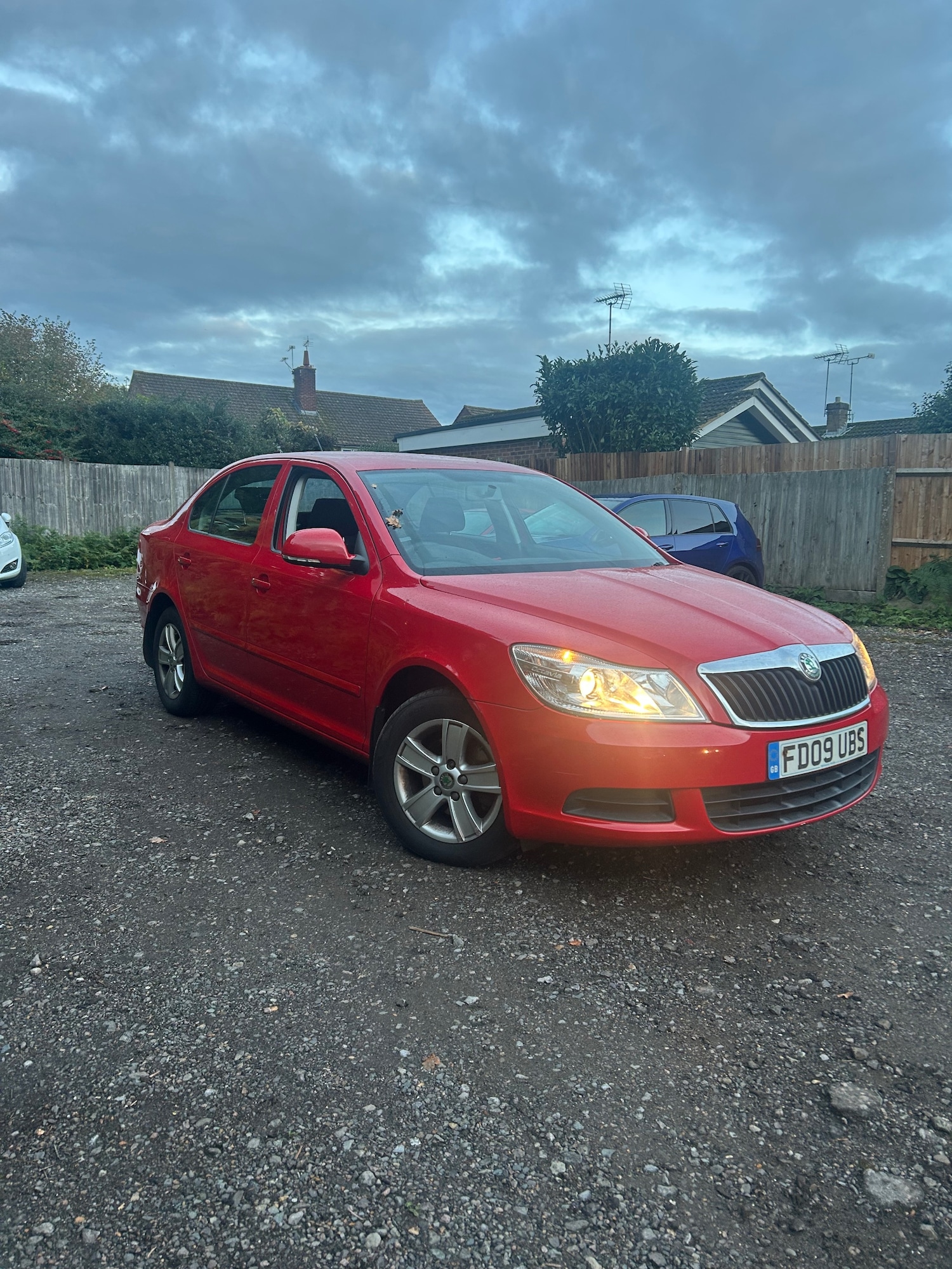 Used Skoda Octavia 2009 for sale - 76333027: Photo 1