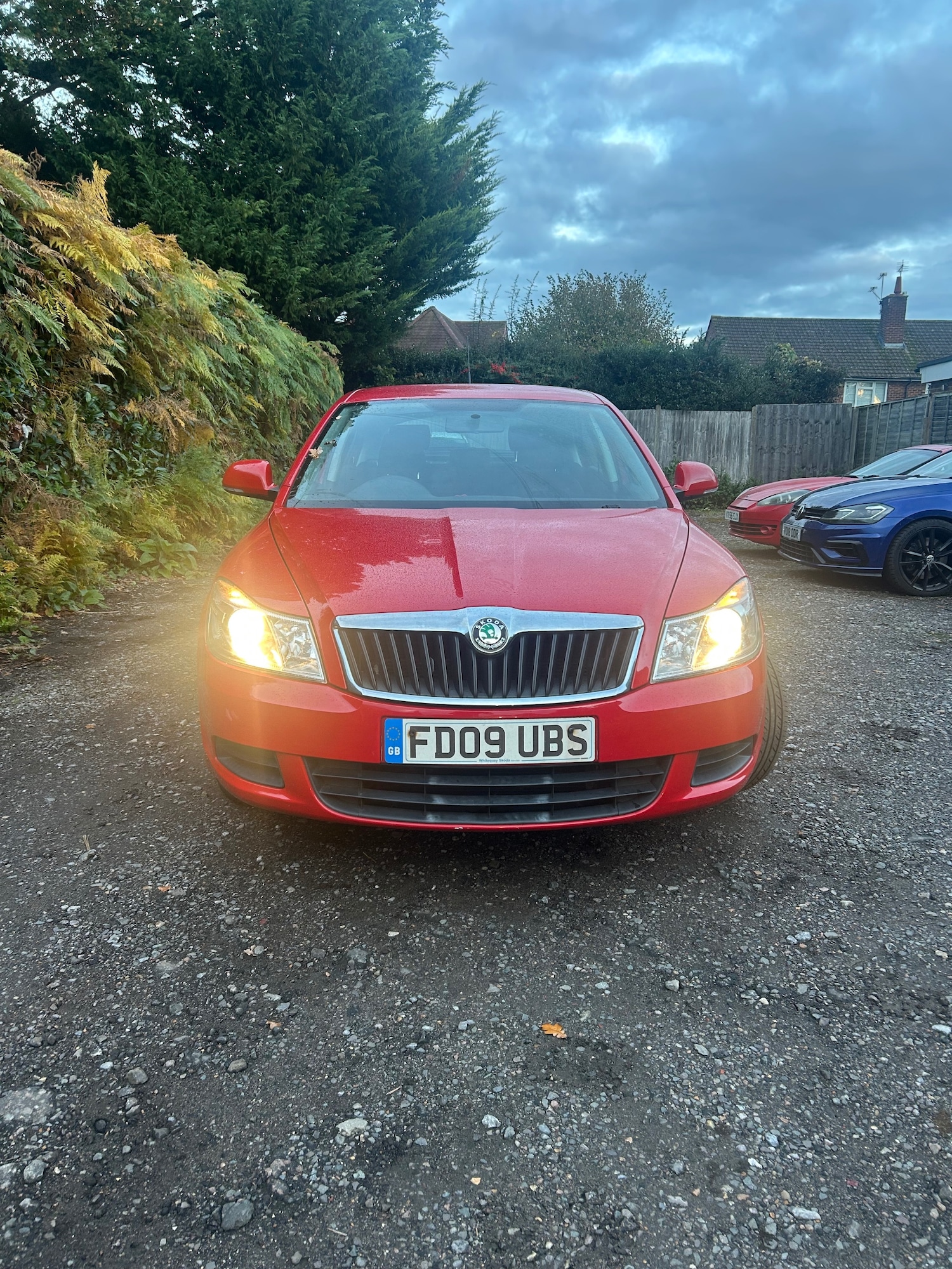 Used Skoda Octavia 2009 for sale - 76333027: Photo 2