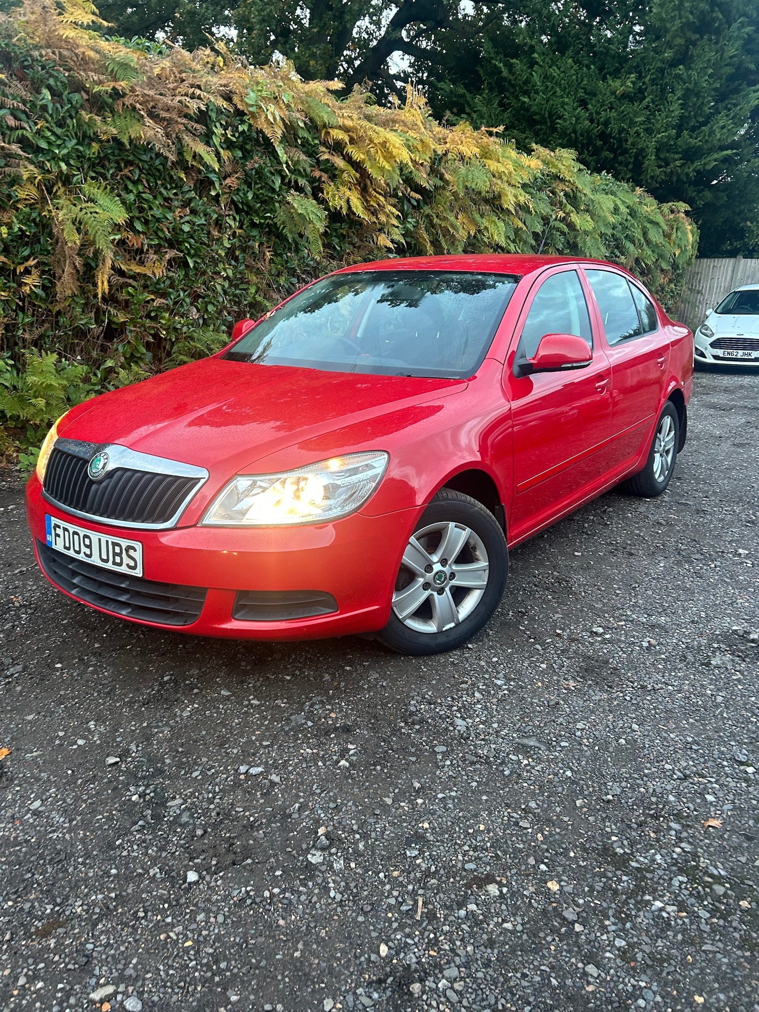 Used Skoda Octavia 2009 for sale - 76333027: Photo 3