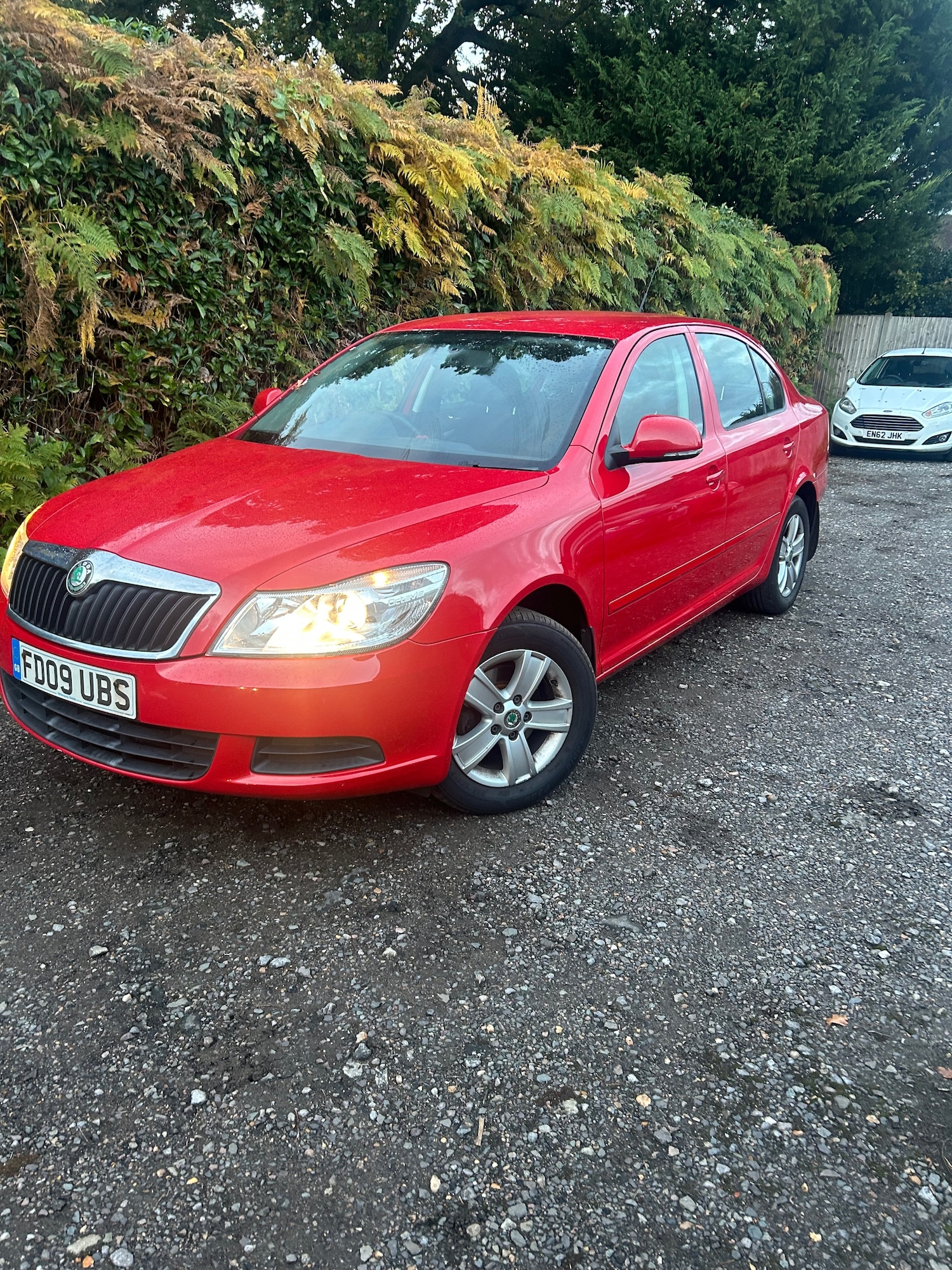 Used Skoda Octavia 2009 for sale - 76333027: Photo 4