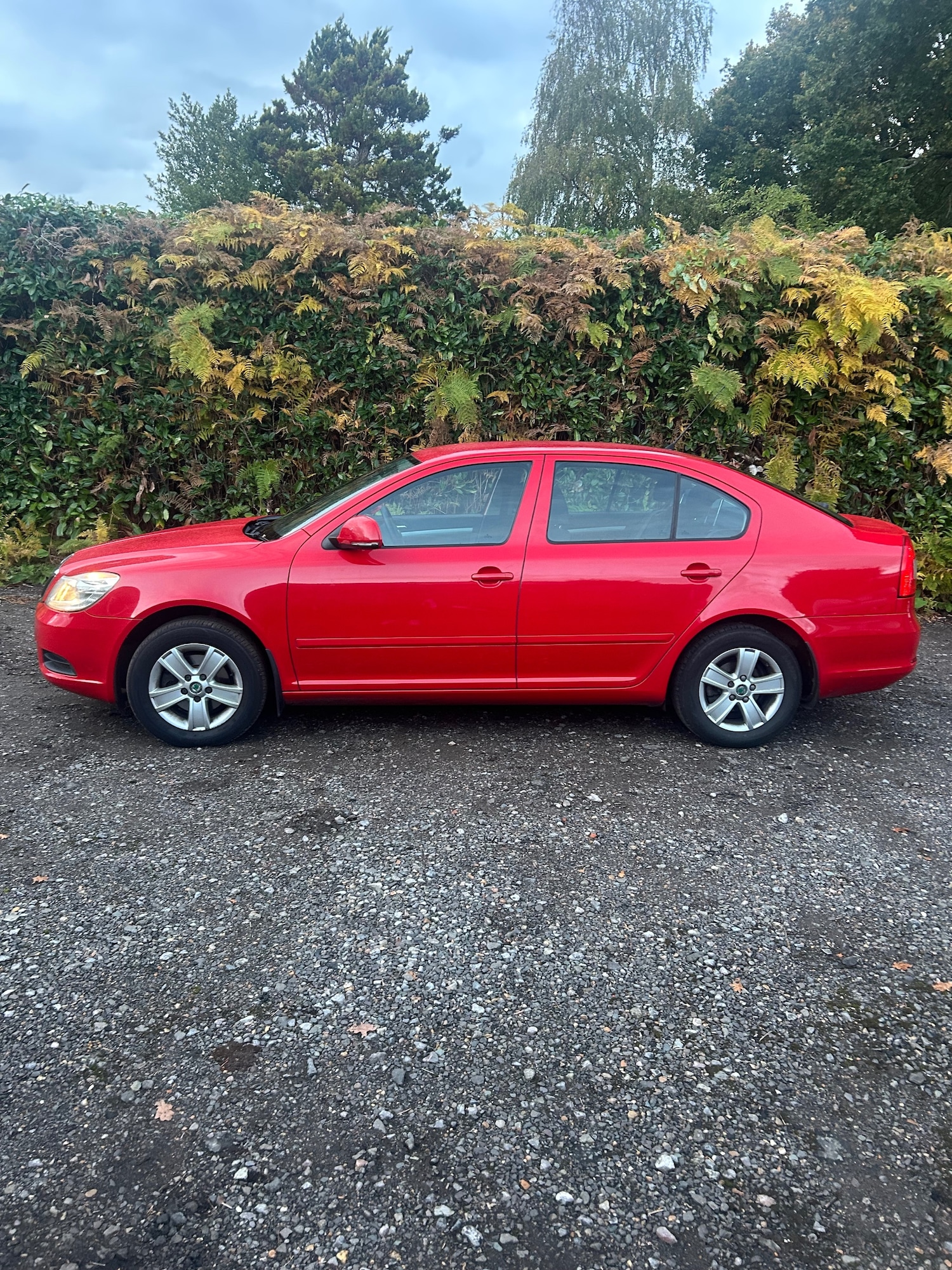 Used Skoda Octavia 2009 for sale - 76333027: Photo 6