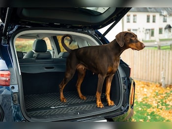 Used Skywell BE11 2026 for sale - 78288228: Photo