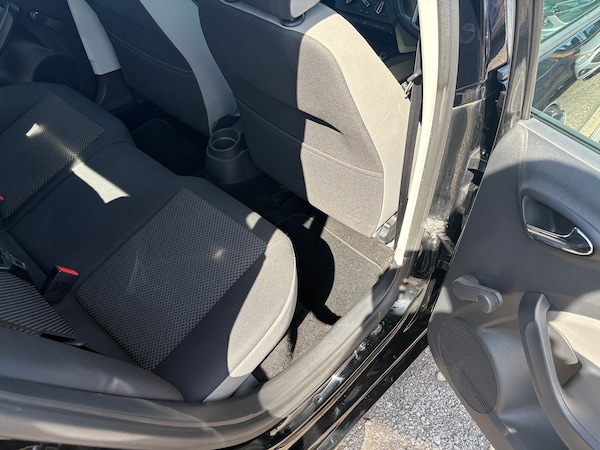 Used SEAT Ibiza 2016 for sale - 75168061: Photo 31