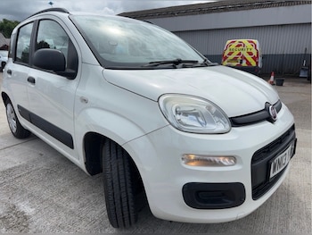 Used Fiat Panda 2013 for sale - 78865425: Photo