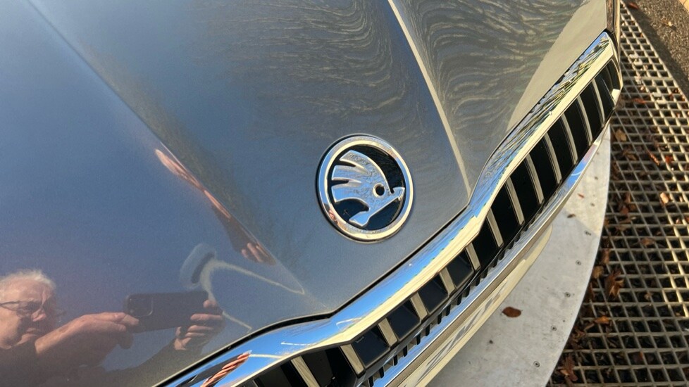 Used Skoda Fabia 2025 for sale - 76874440: Photo 46