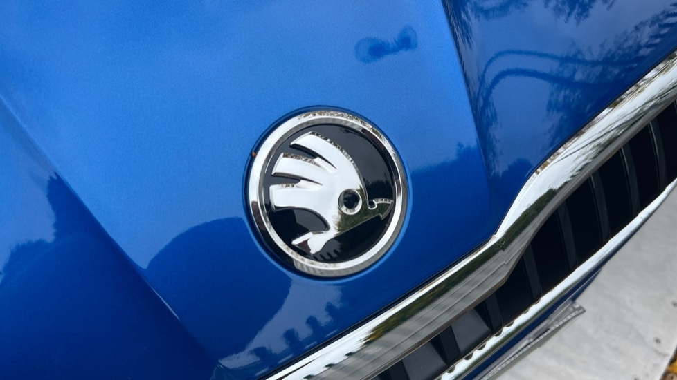 Used Skoda Fabia 2025 for sale - 76519373: Photo 50