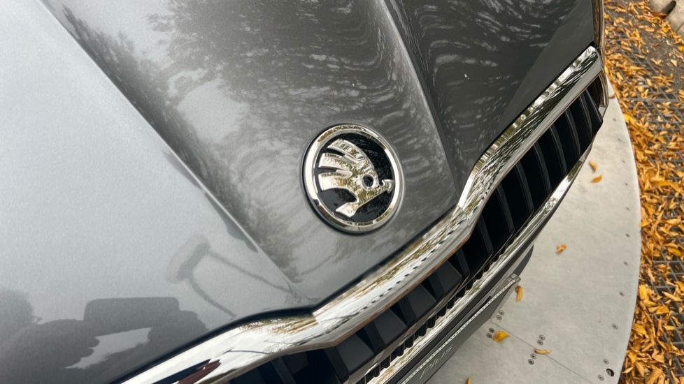 Used Skoda Fabia 2025 for sale - 76519360: Photo 51