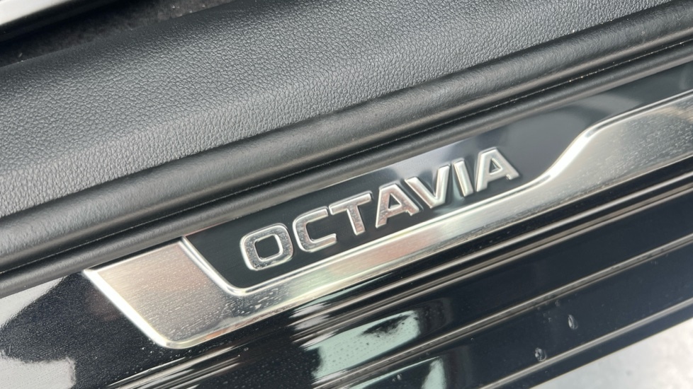 Used Skoda Octavia 2025 for sale - 76869834: Photo 49