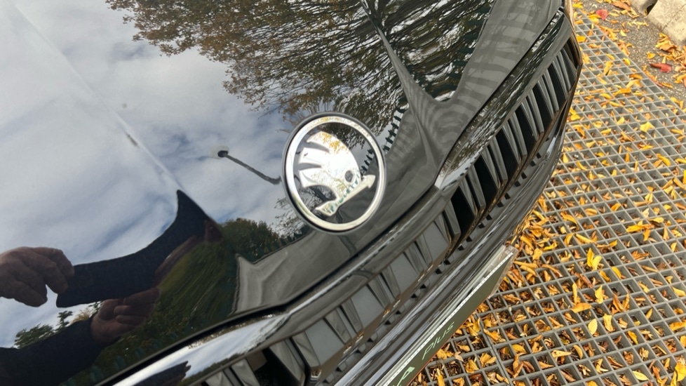 Used Skoda Octavia 2025 for sale - 76869834: Photo 55