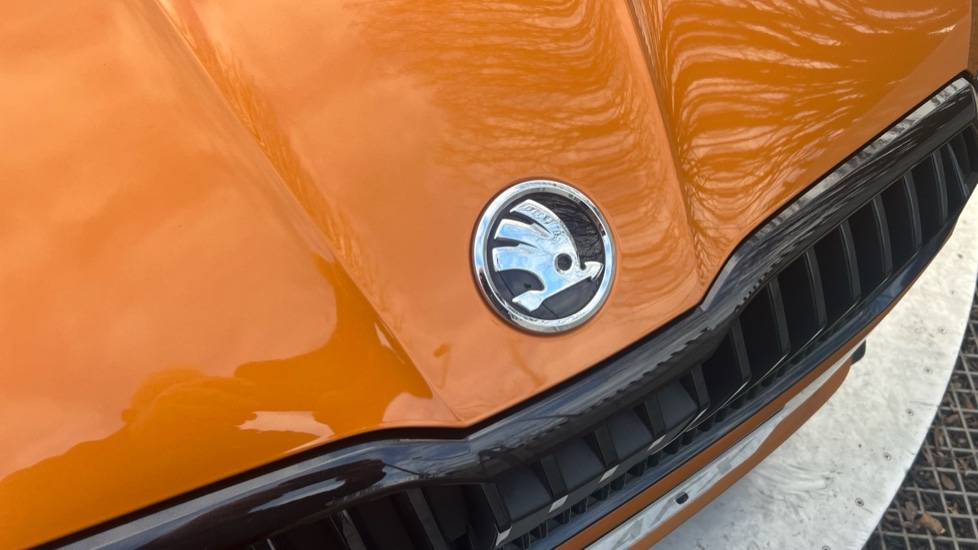 Used Skoda Fabia 2023 for sale - 76948465: Photo 50