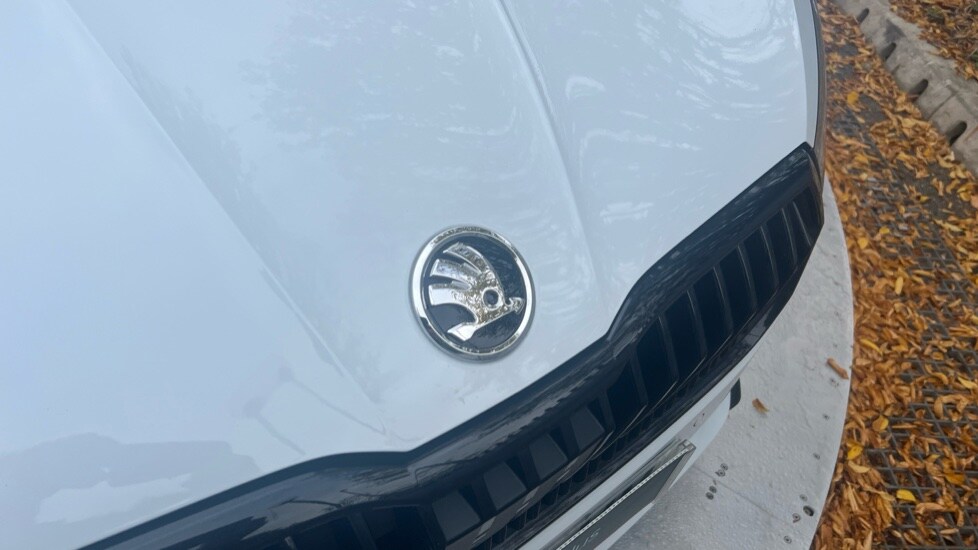 Used Skoda Fabia 2025 for sale - 76208835: Photo 51