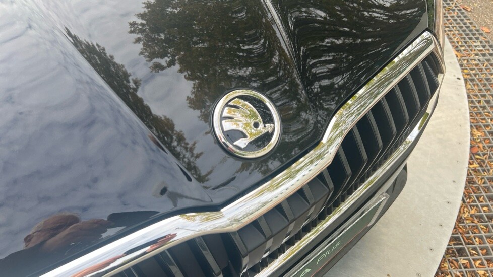 Used Skoda Fabia 2025 for sale - 76870511: Photo 48