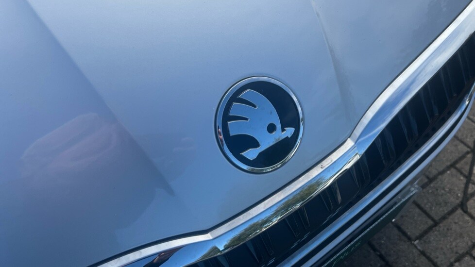 Used Skoda Octavia 2024 for sale - 75922070: Photo 51