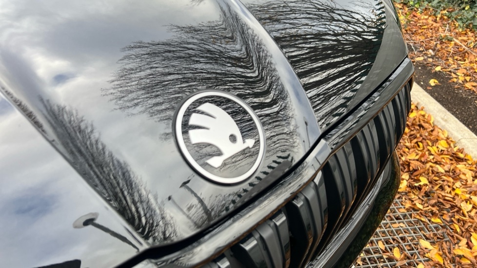 Used Skoda Kodiaq 2025 for sale - 76869911: Photo 56