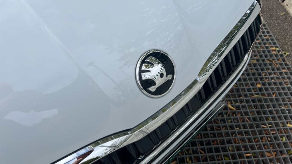 Used Skoda Octavia 2024 for sale - 76869549: Photo 51