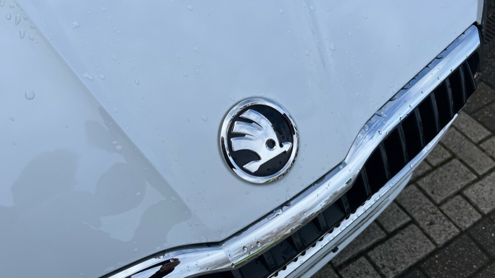 Used Skoda Fabia 2025 for sale - 77050903: Photo 51