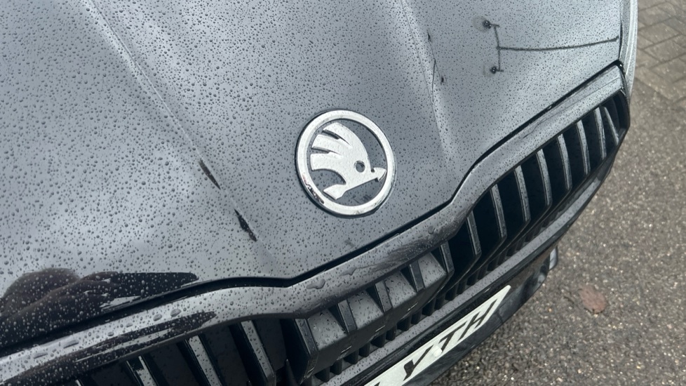 Used Skoda Fabia 2025 for sale - 76872337: Photo 51