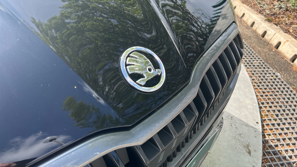 Used Skoda Fabia 2025 for sale - 76868364: Photo 48