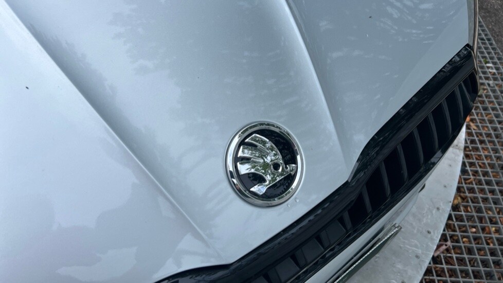 Used Skoda Fabia 2025 for sale - 76528878: Photo 50