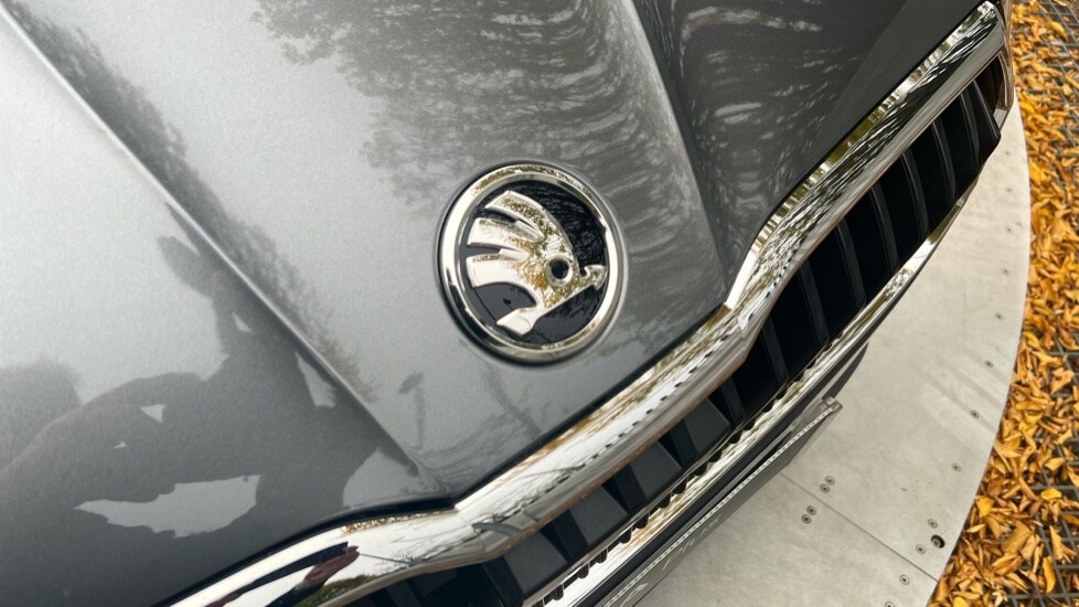 Used Skoda Fabia 2025 for sale - 76415102: Photo 51