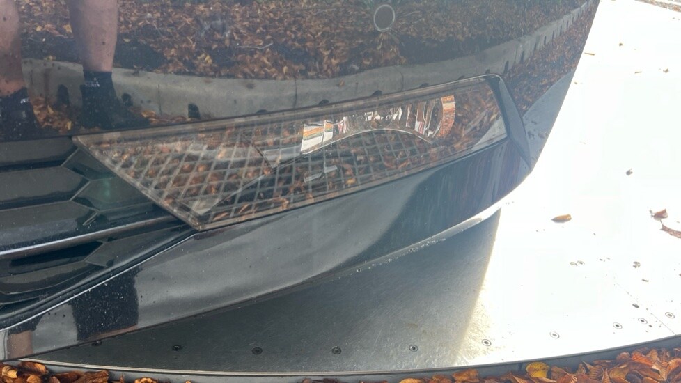 Used Skoda Superb 2019 for sale - 76086510: Photo 54