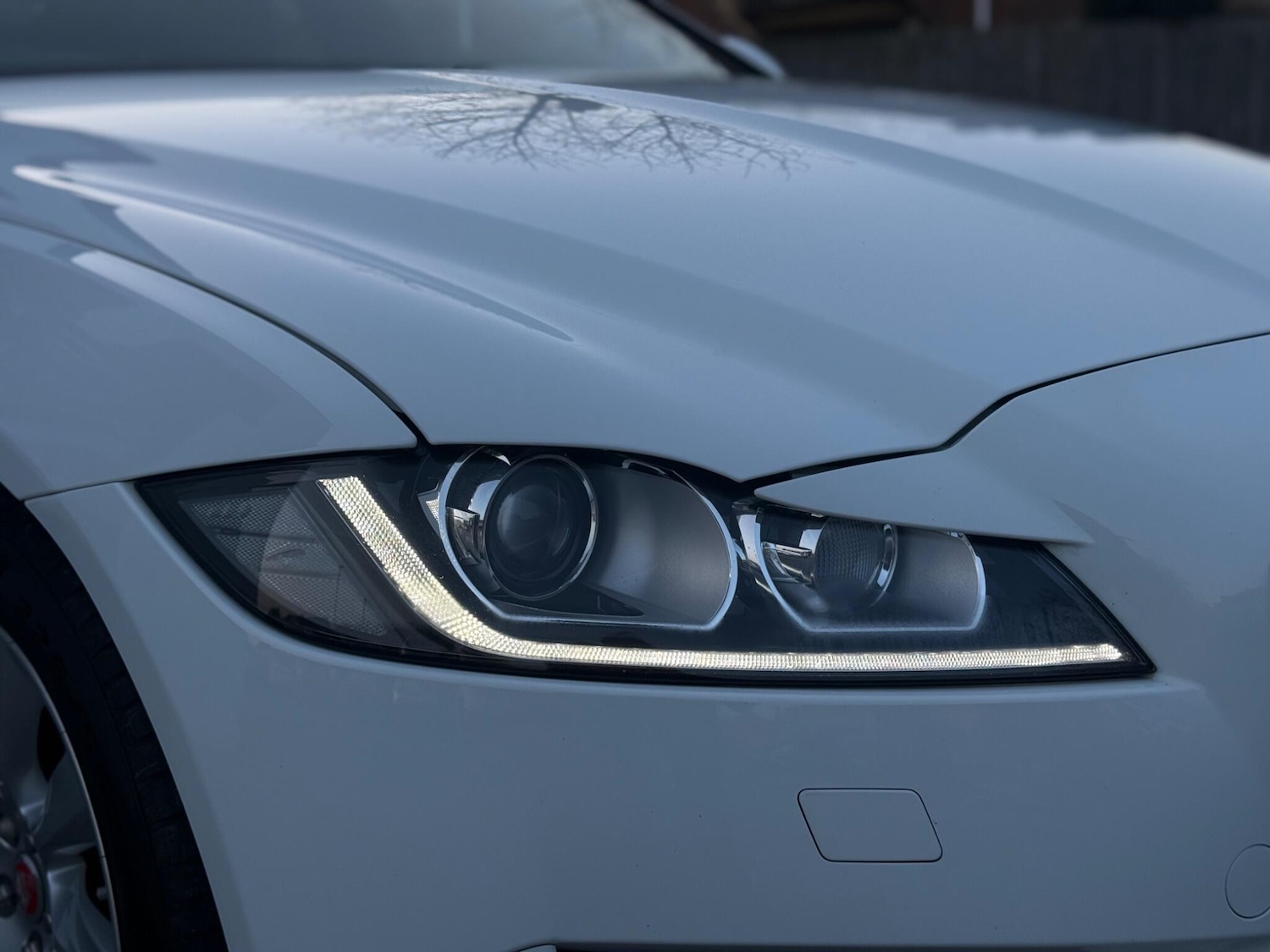Used Jaguar XF for sale - 77769448: Photo 17