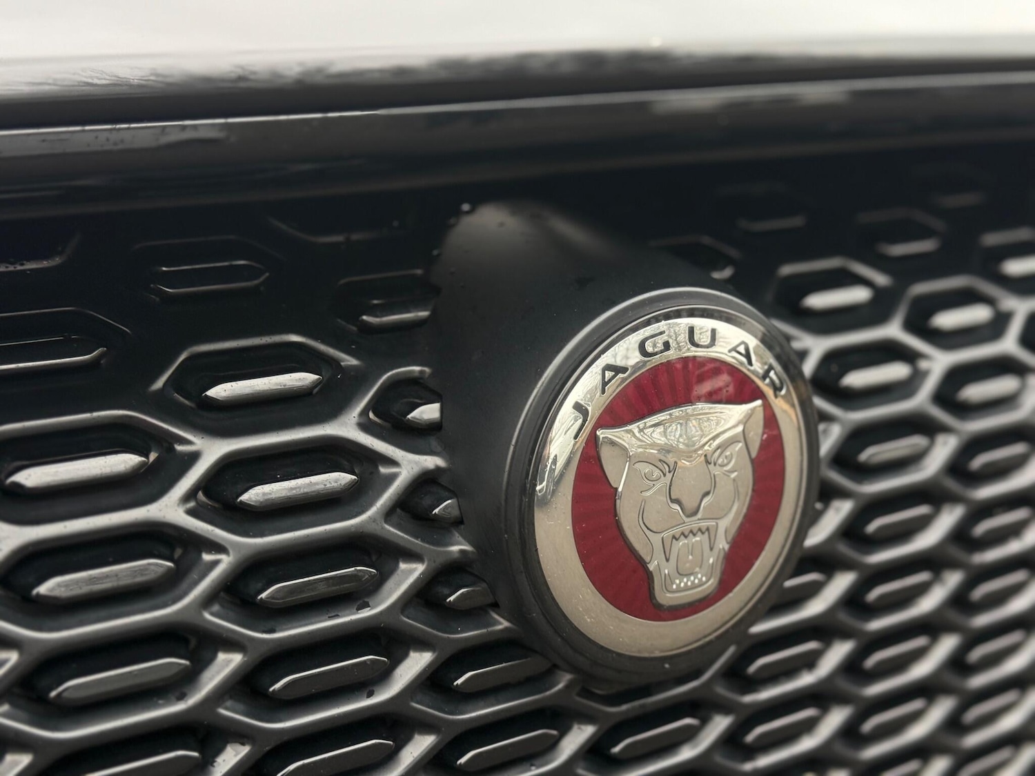 Used Jaguar I-Pace 2020 for sale - 77410922: Photo 15