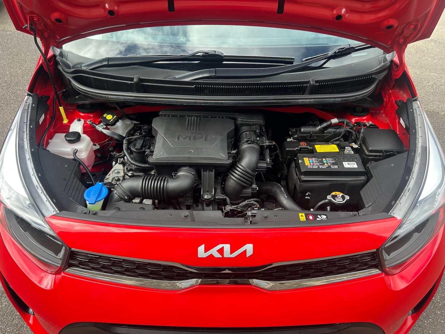 Used Kia Picanto 2022 for sale - 78013027: Photo 11