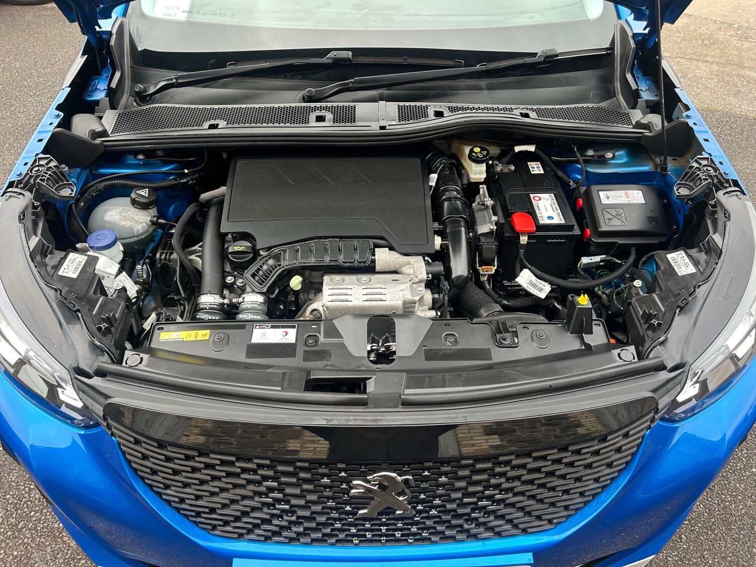 Used Peugeot 2008 2020 for sale - 77617355: Photo 14