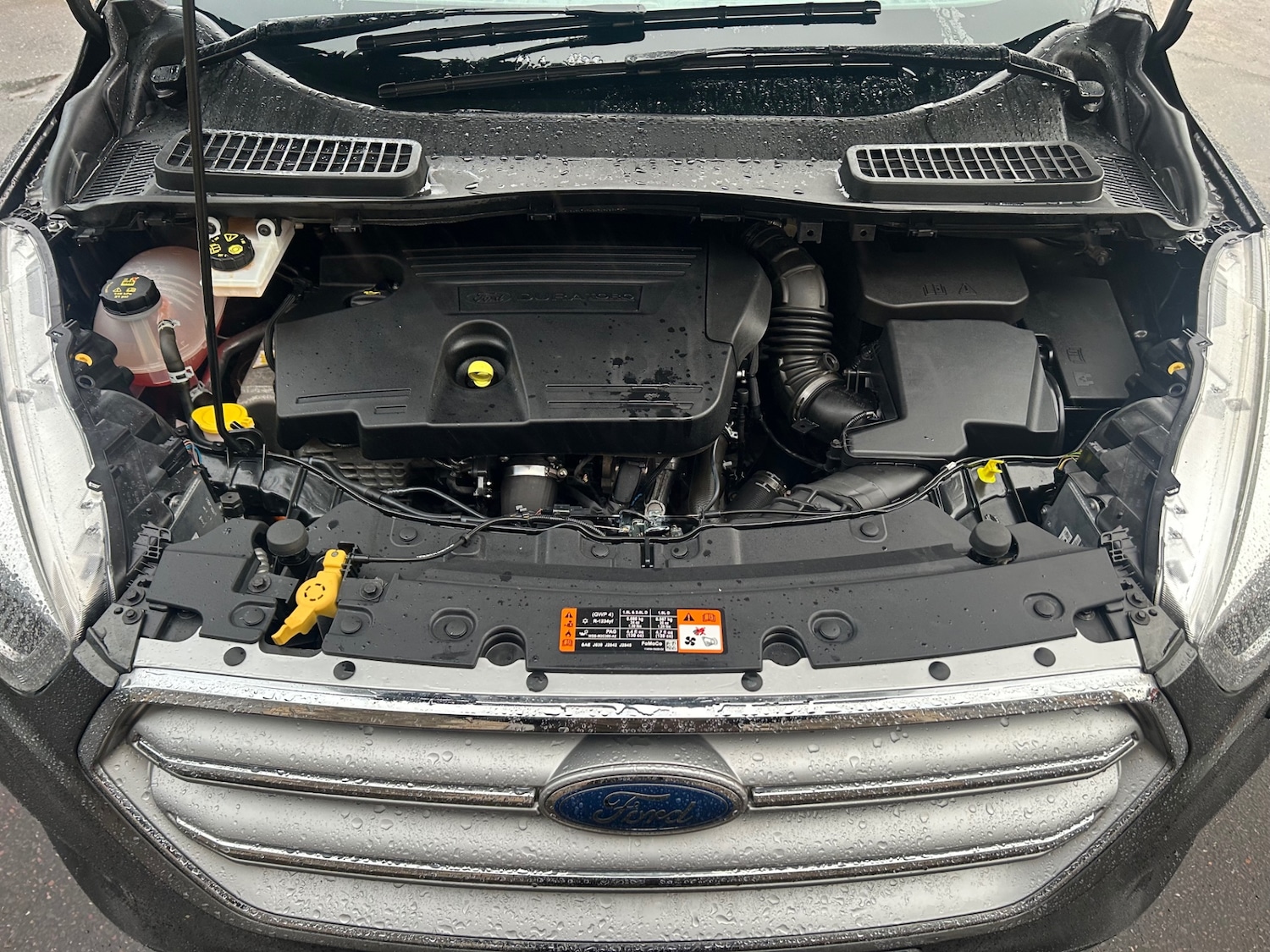 Used Ford Kuga 2017 for sale - 77137851: Photo 14