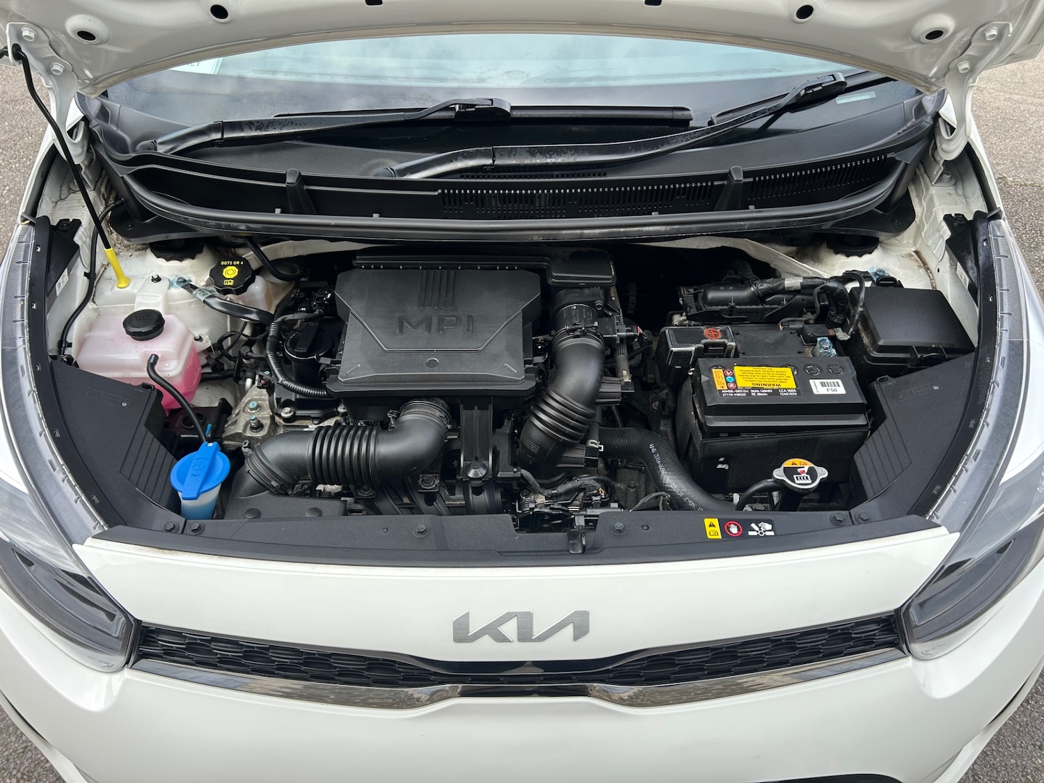 Used Kia Picanto 2022 for sale - 77775246: Photo 10