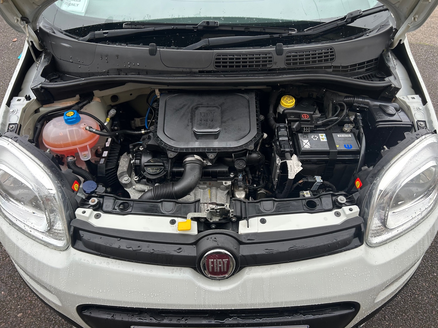 Used Fiat Panda 2021 for sale - 77198163: Photo 12