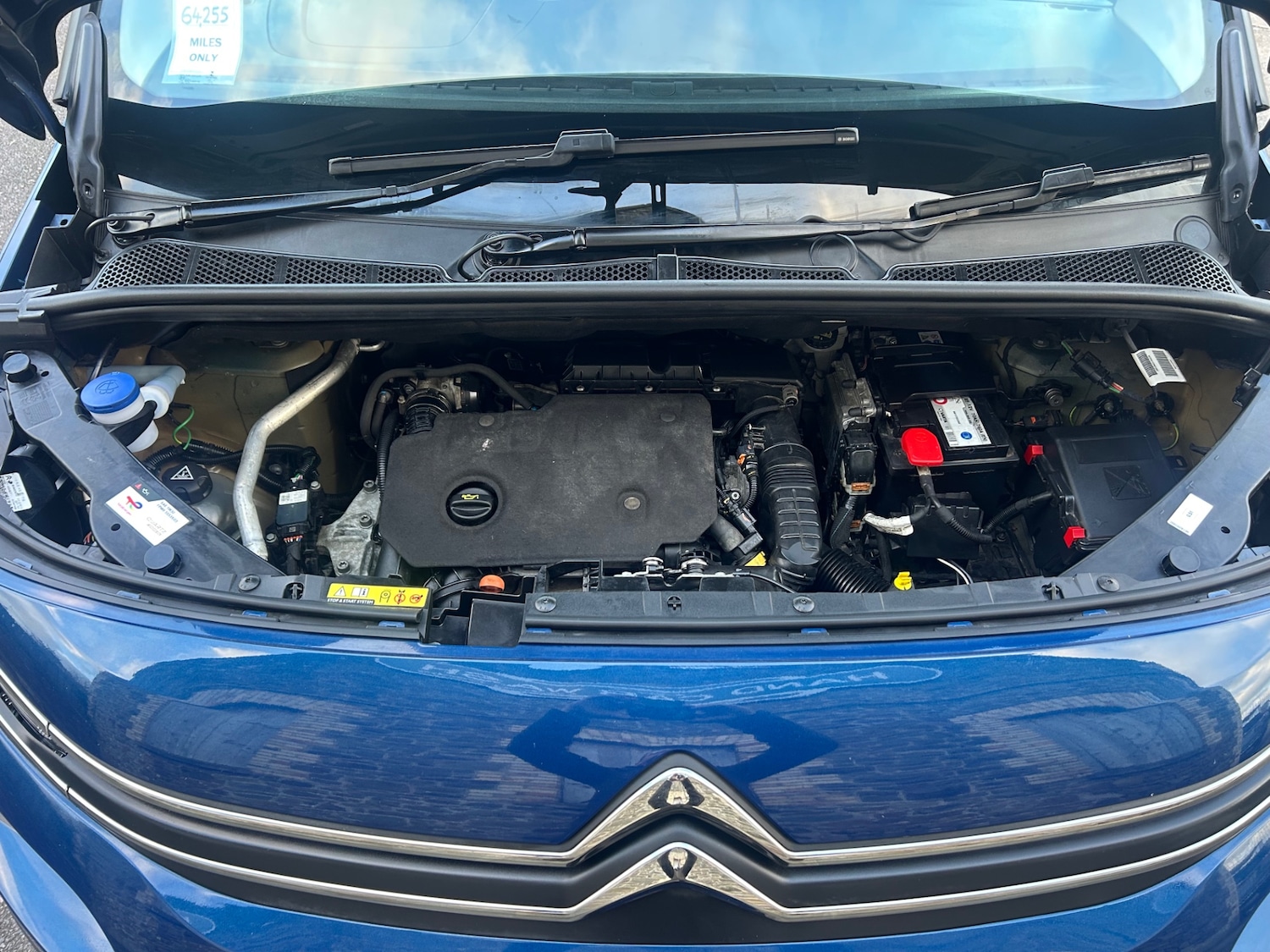 Used Citroen Berlingo 2019 for sale - 77044697: Photo 11