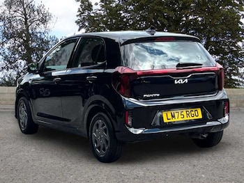 Used Kia Picanto 2025 for sale - 78948734: Photo
