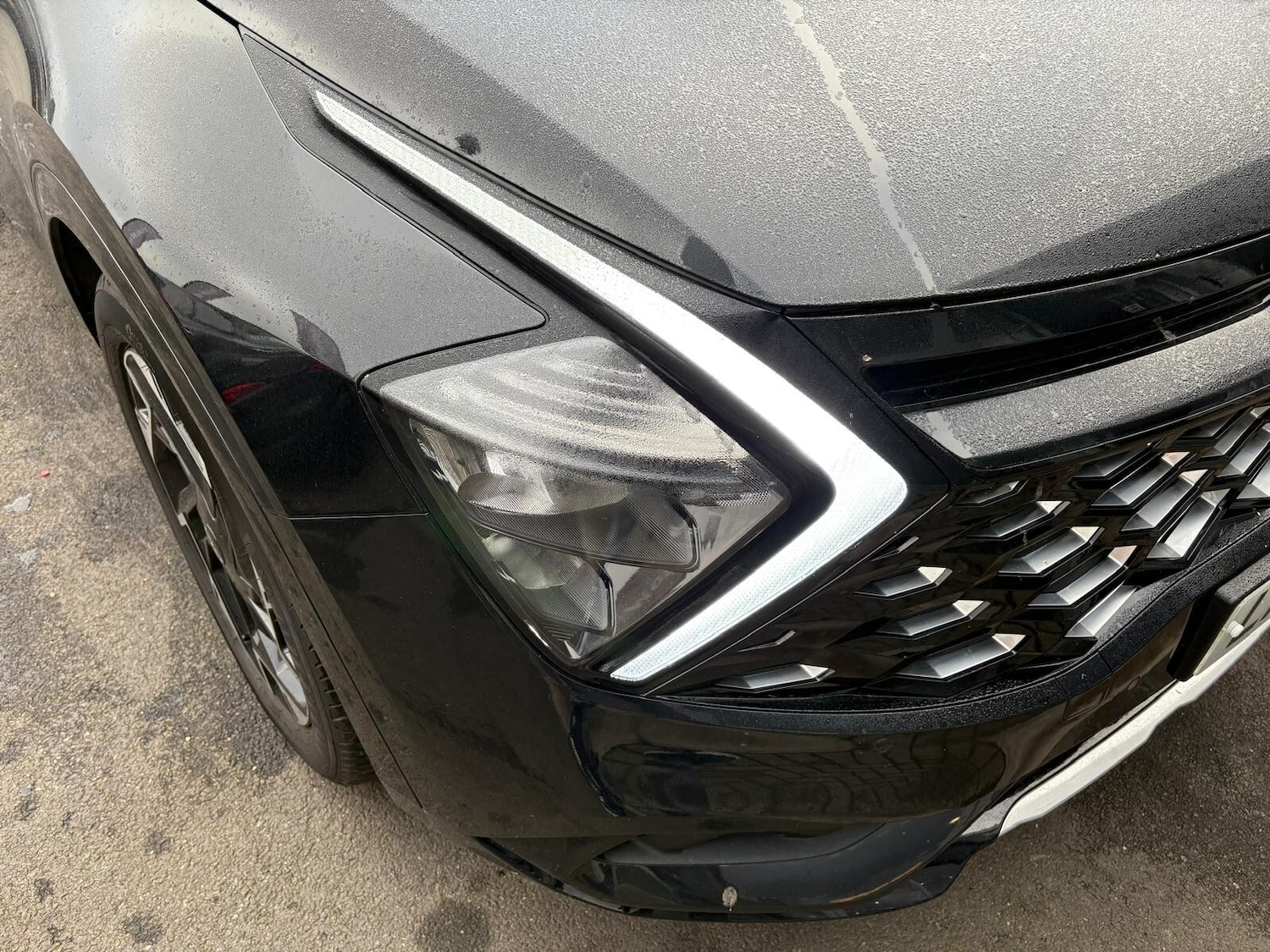 Used Kia Sportage 2025 for sale - 76552472: Photo 12