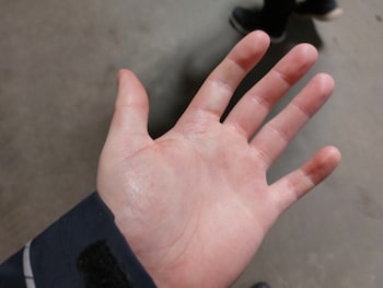 Used Tesla Model 3 2022 for sale - 77160264: Photo