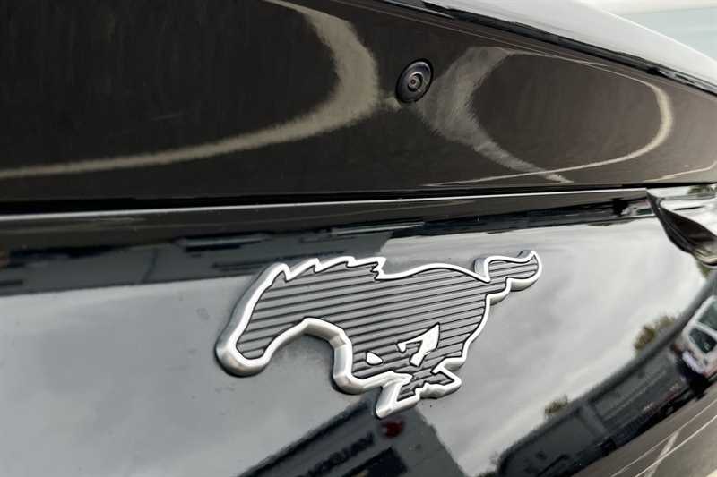 Used Ford Mustang Mach-E 2022 for sale - 76448127: Photo 30